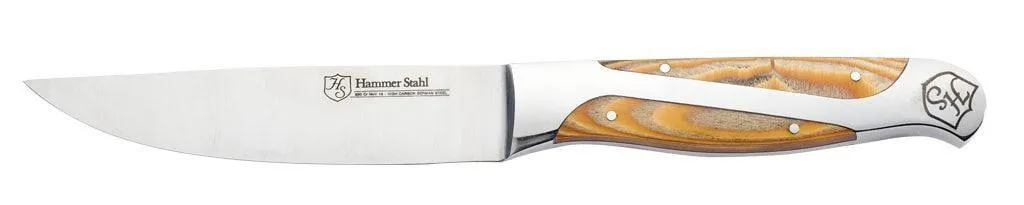 5" ROBUST STEAK KNIFE GIFT SET4PC