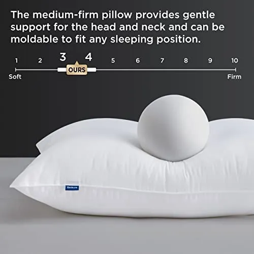 Bedsure Pillows Queen Size Set of 2 - Queen Pillows 2 Pack Down Alternative Hotel Quality Bed Pillows for Sleeping Soft and Supportive Pillows for Side and Back Sleepers