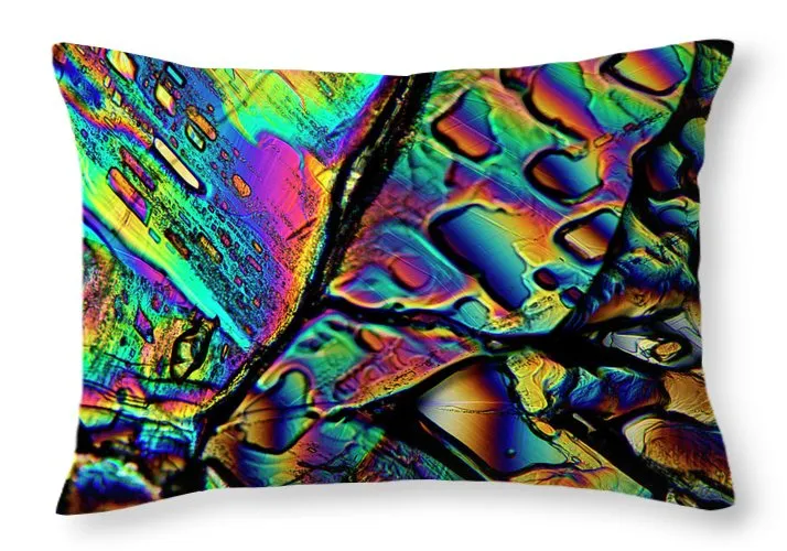 Blithe - Throw Pillow