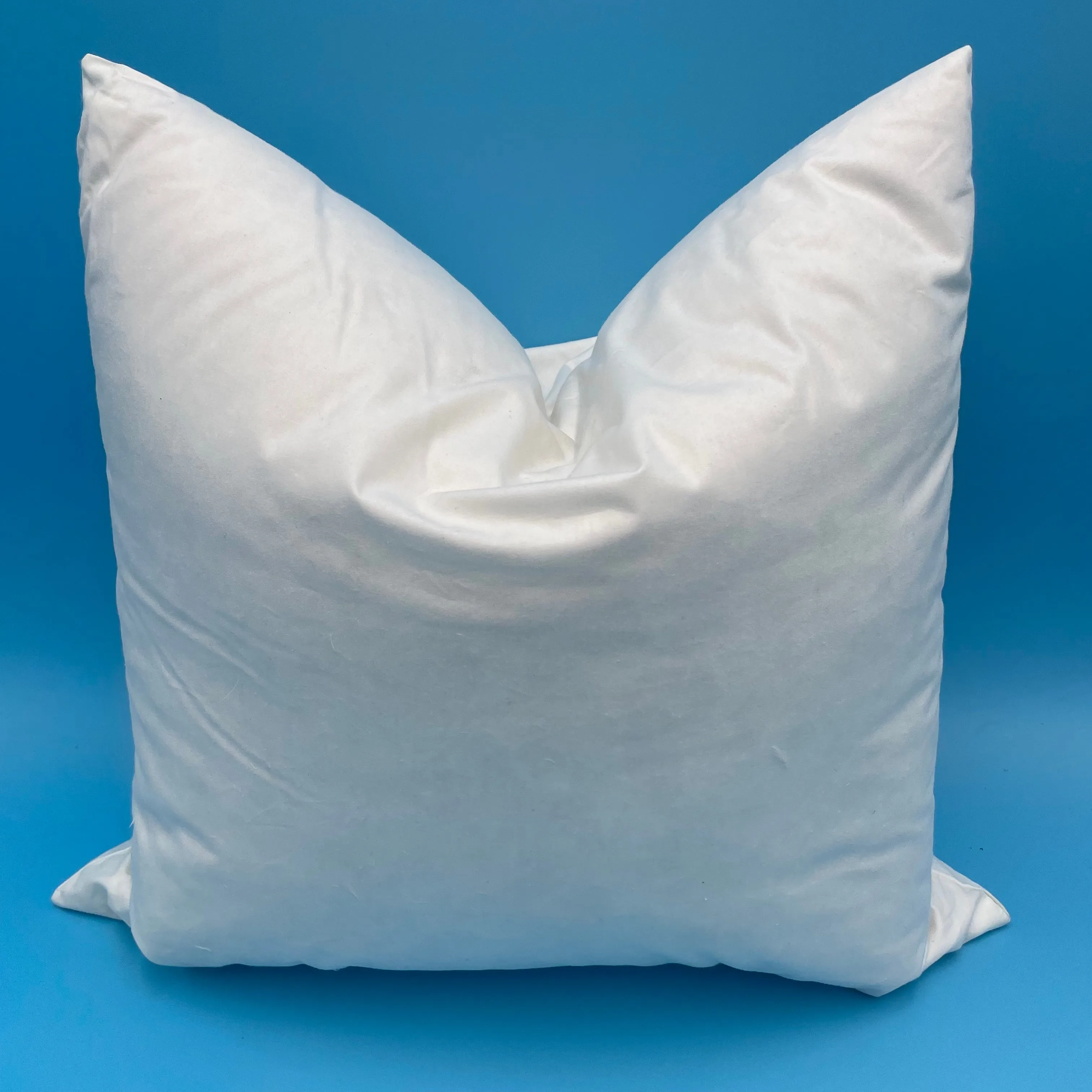 Essence Of Down Hypoallergenic Pillow Insert