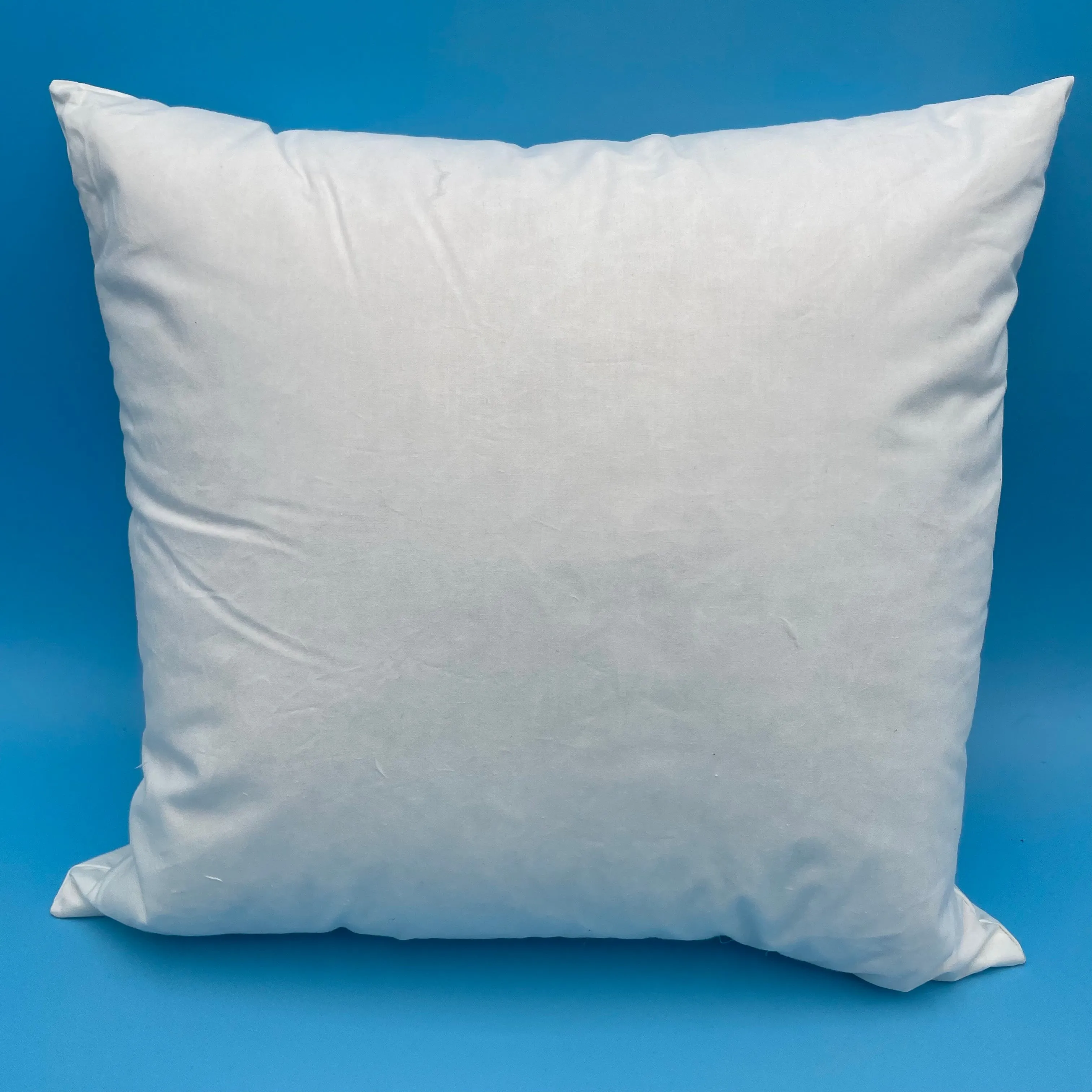 Essence Of Down Hypoallergenic Pillow Insert