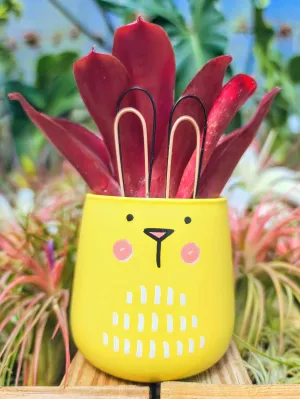 Yellow Bunny Pot w/ Neo Fireball